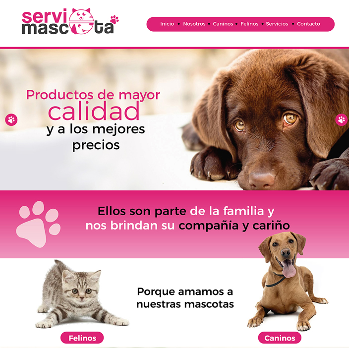 paginas web personalizada